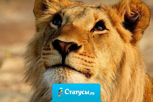 Ты добрый, это хорошо, это по жизни очень пригодится. Другим.