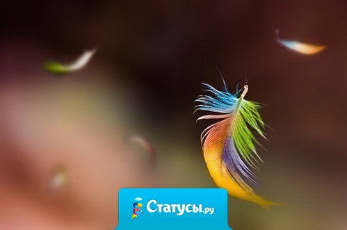 Когда человеку кажется, что всё идёт наперекосяк, в его жизнь пытается войти нечто чудесное.