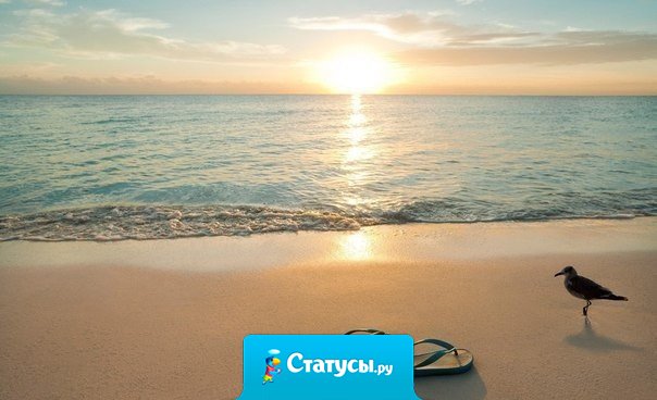 Существует два способа стать счастливым: улучшить реальность или снизить ожидания.