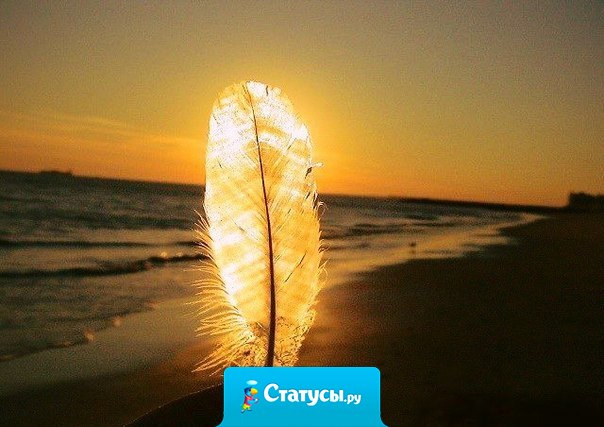 Искусство быть счастливым заключается в способности находить радость в простых вещах.