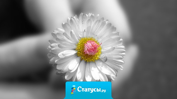 Человек ценен, когда его слова совпадают с его действиями.