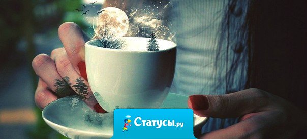У меня нет всего, что я люблю. Но я люблю всё, что у меня есть. 