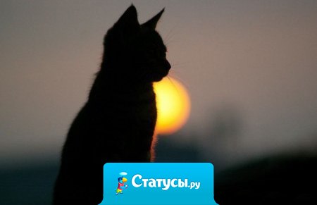 Самое страшное - это когда предают люди, которым доверял...