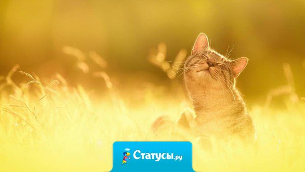 от, у кого в Душе светит Солнце, будет видеть Солнце даже в самый хмурый день.