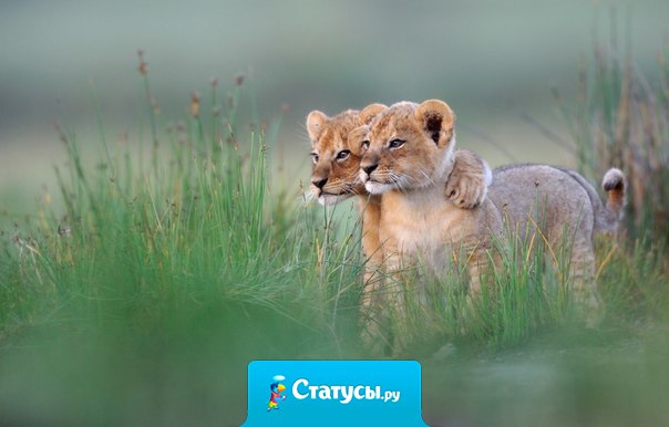 Счастье заразительно. Чем счастливее вы, тем счастливее те, кто вокруг вас.