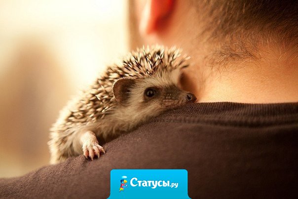 Чтобы помочь другому человеку, не обязательно быть сильным и богатым, — достаточно быть добрым.