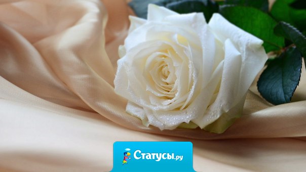 Прежде чем осуждать кого-то, возьми его обувь и пройди его путь, попробуй его слёзы, почувствуй его боль, наткнись на каждый камень, об который он споткнулся, и только после этого говори, что ты знаешь как правильно жить.