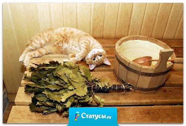 В жизни - как в бане: хочешь - парься, хочешь - нет.