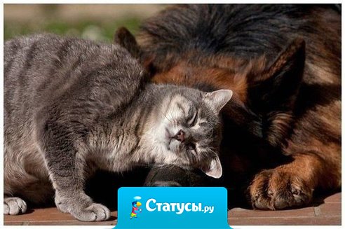 Нет такой ссоры, которая была бы важнее дружбы !!!