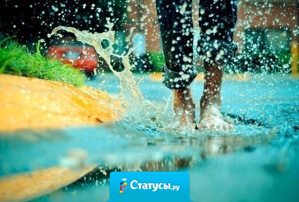 Падать - часть жизни, подниматься на ноги - её проживание, быть живым - это подарок, а быть счастливым - это ваш выбор.