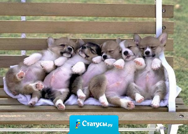 Хорошо когда твои друзья с тобой.