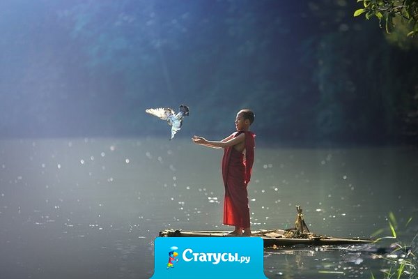 Ты будешь наказан не за свой гнев, ты будешь наказан своим гневом.