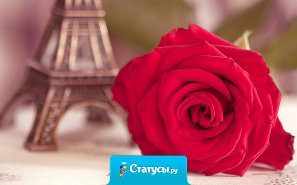 В несчастьях мы обретаем силу, благодаря болезням узнаем цену здоровья, сталкиваясь со злом, начинаем ценить добро, благодаря нагрузкам познаем истинную ценность отдыха.