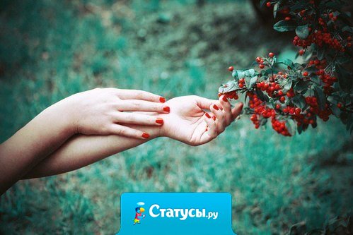 Простота — одно из лучших качеств человека.