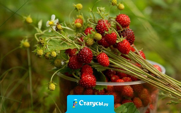 Лето - это время наслаждений!!!