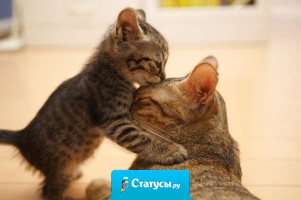 Любите свою маму! Она единственная!