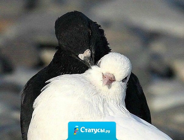 Поддержка - самое важное, что бывает между близкими.