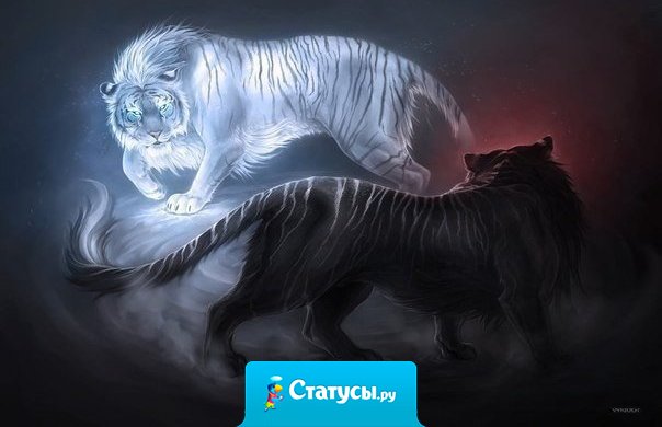 Никогда не путай мой характер с моим отношением. Мой характер зависит от меня, а моё отношение — от твоих действий.