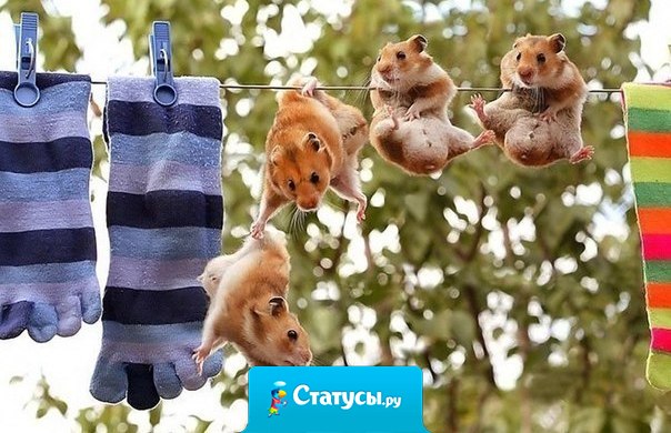 Не важно сколько у тебя друзей. Важно, помогут ли они тебе в трудной ситуации!