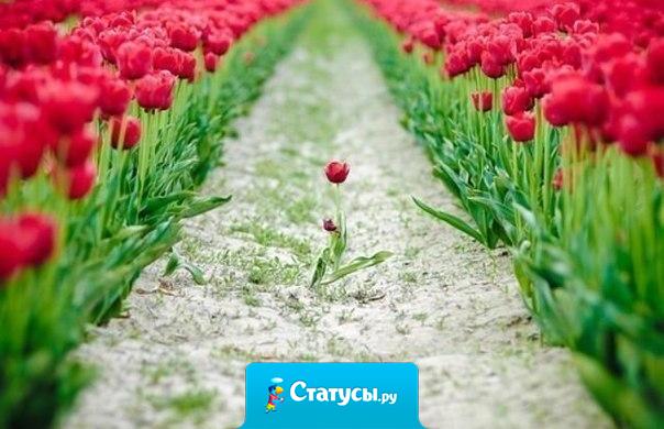 И пусть судьба не справедлива, но жизнь- игра, играй красиво!!! Не огорчайся ты напрасно. Пошло всё нафиг - жизнь прекрасна!