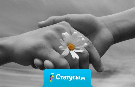 Когда мы станем ценить то, что у нас уже есть, а не жить в поиске идеалов, тогда мы, по-настоящему, станем счастливыми.