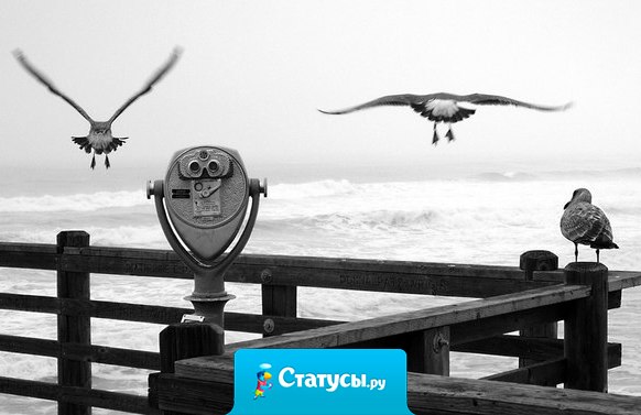 Ненависть со временем утихает, обида проходит, злость угасает, а разочарование навсегда отдаляет людей друг от друга.