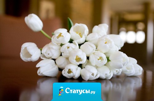 Свою жизнь – надо устраивать до тех пор, пока она не начнет устраивать вас.