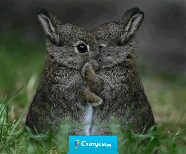 Обнимашки - целовашки.