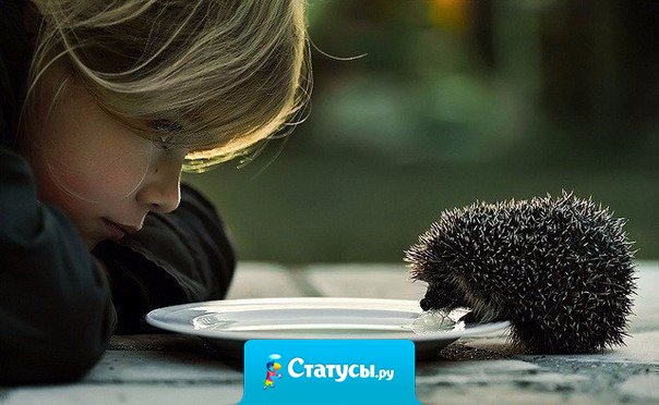 Творите добро и оно к вам обязательно вернется.