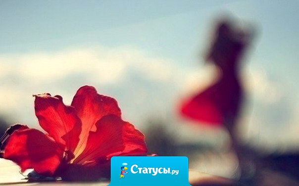 Никогда не теряйте надежды и веры в лучшее, потому что после самой черной ночи всегда бывает светлый день и даже после самого сильного ливня ярко светит солнце.