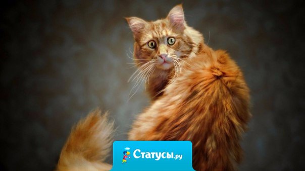 Люди так удивляются, когда с ними ведёшь себя, как и они с тобой.