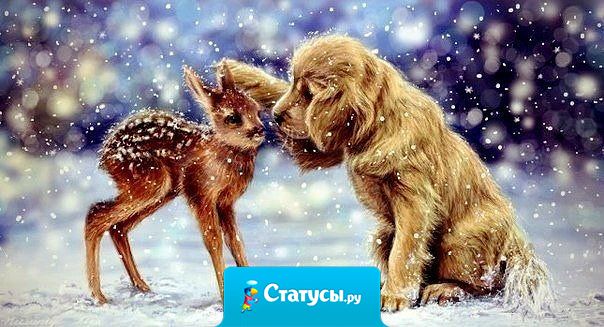 Нежность — это то, что так сложно объяснить словами, но так легко почувствовать сердцем.