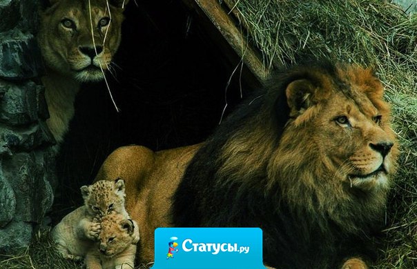 Как хорошо, когда есть тот, кто тебя бережет.