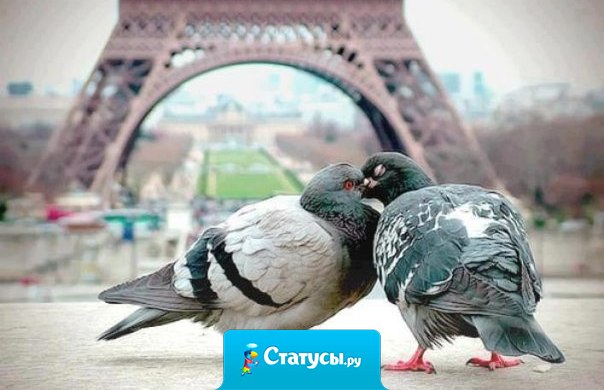 Самые главные вещи на свете — это не вещи...