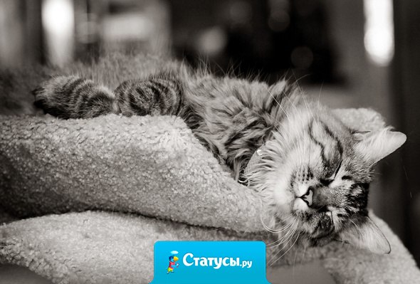 Люди говорят нет ничего невозможного, но я занимаюсь ничем каждый день.