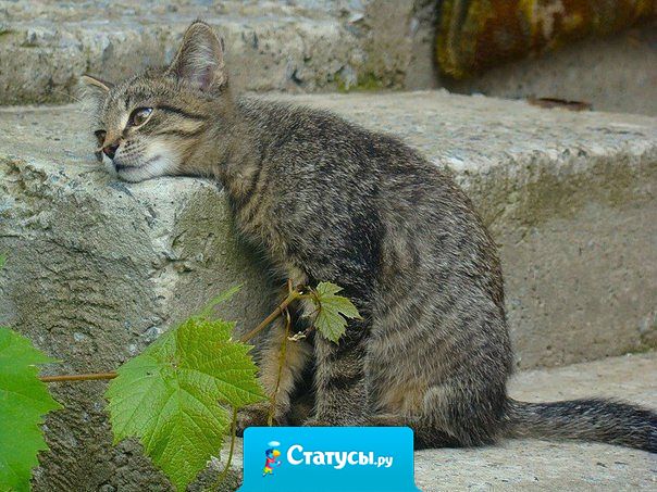 Не работаешь - жить не на что. Работаешь - жить некогда.