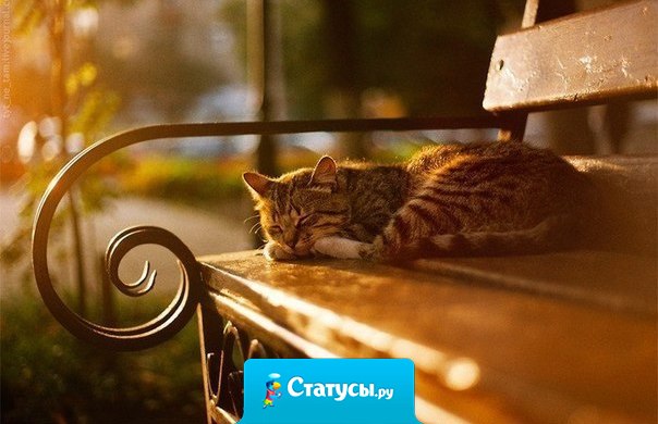 Не бывает поздно, бывает уже не надо...