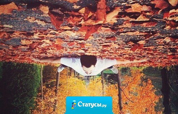 Как хорошо быть одному. Но как хорошо, когда есть кто-то, кому можно рассказать, как хорошо быть одному.