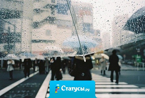 Прежде чем диагностировать у себя депрессию и заниженную самооценку, убедитесь, что вы не окружены идиотами.