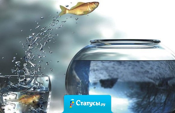 Не просите у Бога легкой жизни, просите, чтобы он сделал вас сильней.