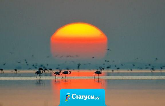 Когда Вы перестанете копаться в том, что уже произошло... И тревожиться о том, что ещё не случилось... Тогда Вы сможете ощущать Радость Жизни.