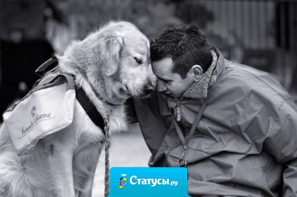 Доброму человеку бывает стыдно даже перед собакой.