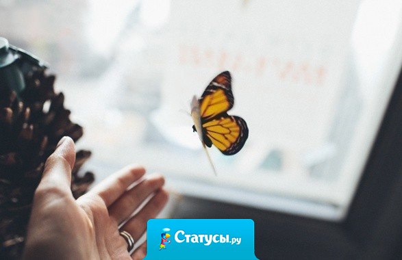 Сильные люди всегда просты.