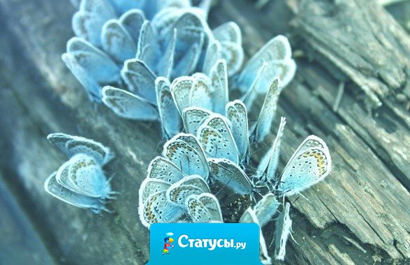 Прожить жизнь можно двумя способами. Один способ - думать, что чудес не бывает. Второй - думать, что все происходящее есть чудо. 