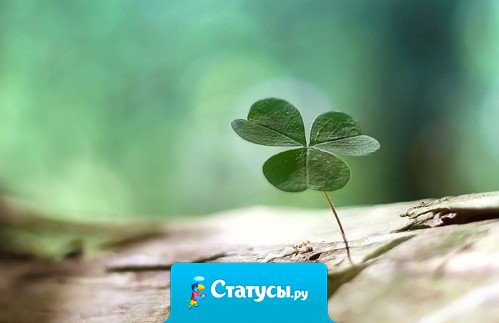 Мы думаем, что Бог видит нас сверху — но он видит нас изнутри. 