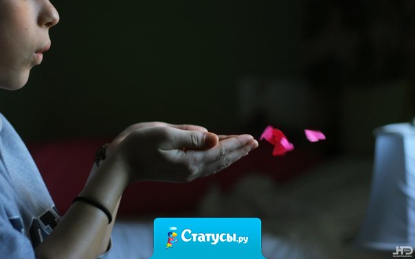 Счастье всегда кажется маленьким, когда держишь его в руках, но отпусти его — и сразу поймешь, насколько оно огромно и прекрасно…