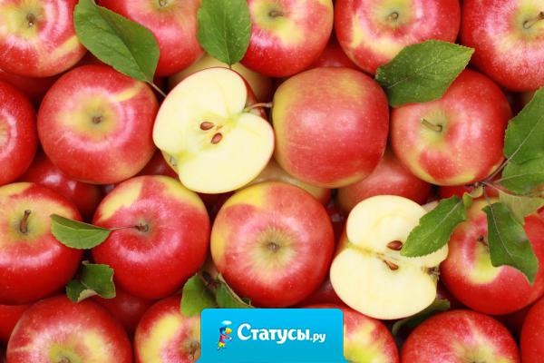 Если гнилое яблоко поместить в корзину с хорошими, оно не только не станет лучше, но от него начнут гнить и все остальные. Поэтому всегда находитесь в кругу благочестивых людей. Наше окружение и то, с кем мы общаемся, очень сильно влияет на нас самих.