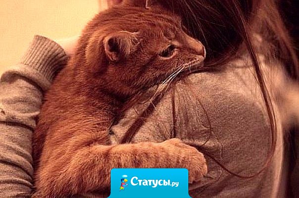 Кажется, единственный, кто понимает что у меня внутри — это мой кот. Когда я беру его на руки, он так смотрит, как будто всё-всё понял.