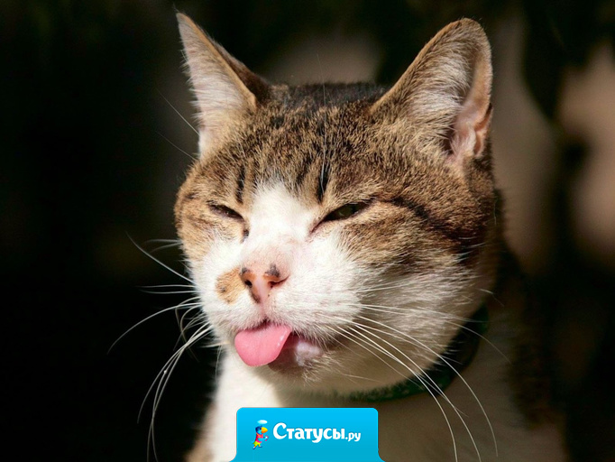 Во всём мире работают так, чтобы заслужить премию.  И только у нас работают так, чтоб её не лишили!