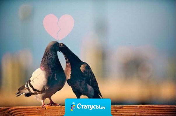 А ведь влюбляются не в красоту… Влюбляются в смех, вечно вьющиеся волосы, ямочки на щеках, родинку над губой или даже шрамик над бровью. А в красоту — нет. Красоту просто хотят.